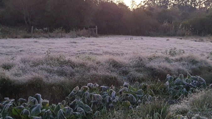 Sul do país amanhece com geadas fortes: Temperaturas continuam baixas até a próxima madrugada