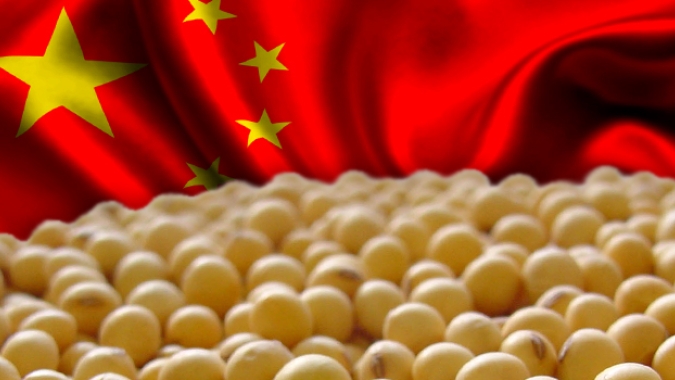 China compra pelo menos 10 cargas de soja dos EUA, dizem operadores