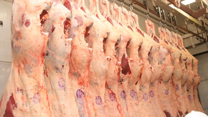 Alta no preço da carne bovina no varejo