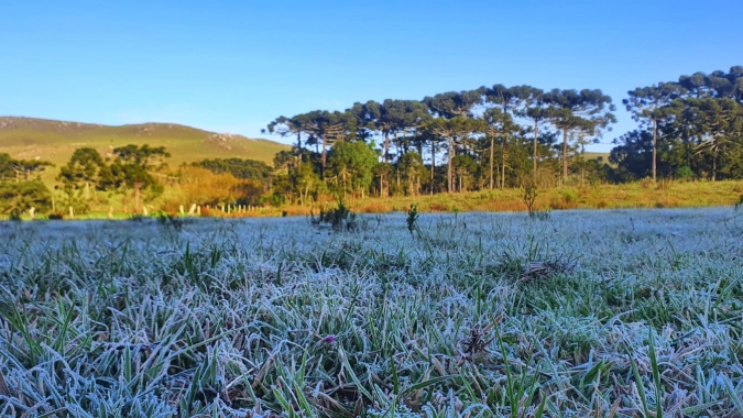 Massa de ar frio: Temperaturas caem e Rio Grande do Sul, Paraná e Mato Grosso do Sul têm previsão de geadas na próxima madrugada