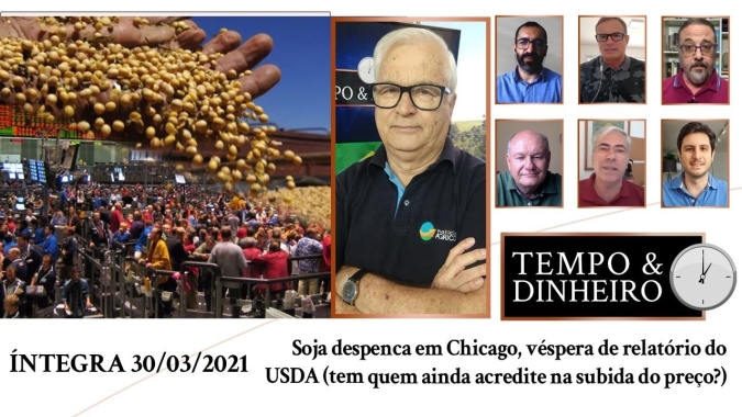 Soja despenca em Chicago, véspera de relatório do USDA (e tem quem ainda acredite na subida do preço!?)