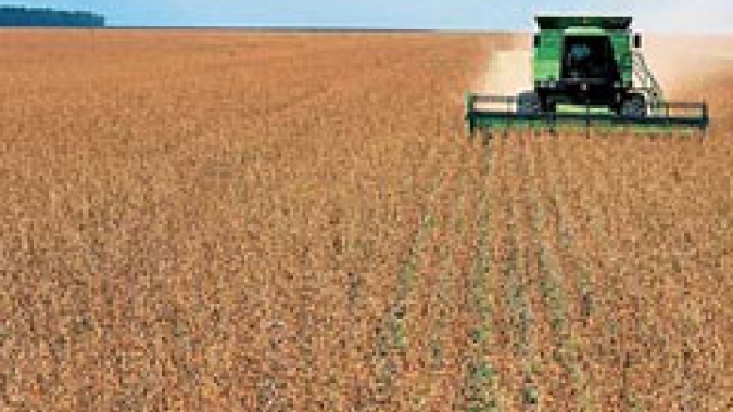 SLC Agrícola vê lucro cair 28% no 1º tri e prêmios pressionados com safra de milho