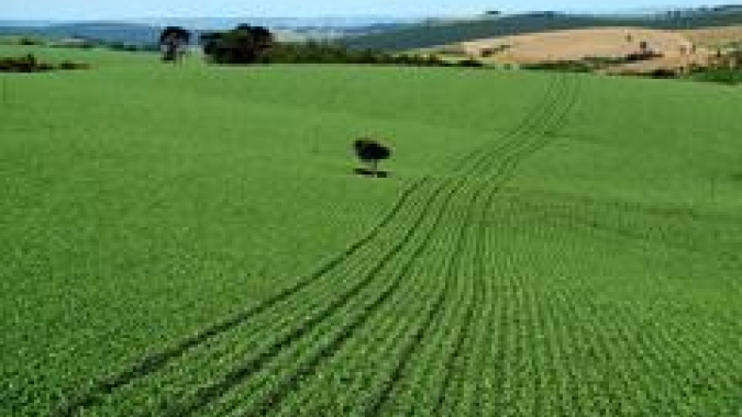 Agro fecha abril com corte de 8,3 mil vagas formais no país