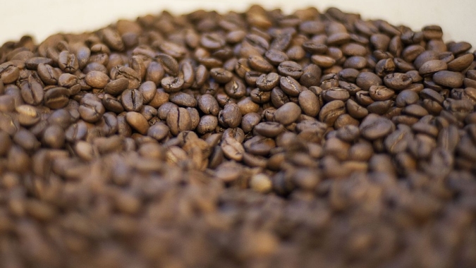 Café/Cepea: Preço do robusta segue em queda