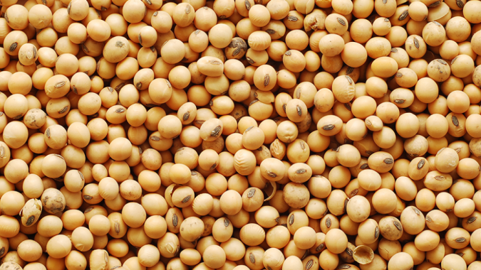 USDA informa nova venda de soja nesta 4ª feira
