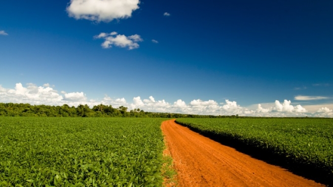As perspectivas para o agro em 2025, rumo à COP do Brasil