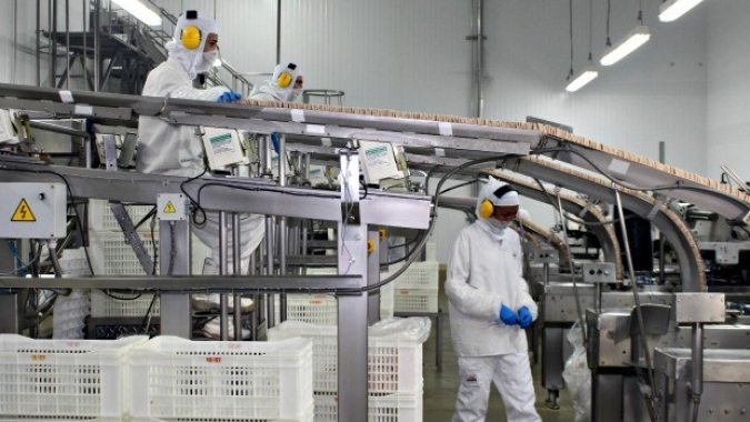UE: produtos à base de vegetais podem usar termos relacionados a carne
