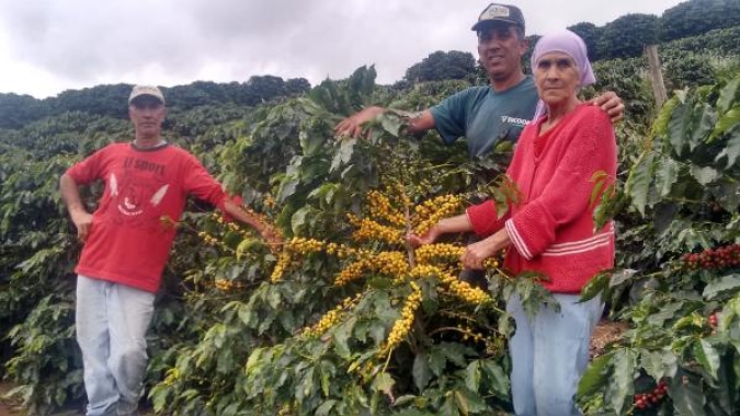 Agricultores familiares de Espera Feliz/MG viram referência na produção de cafés especiais