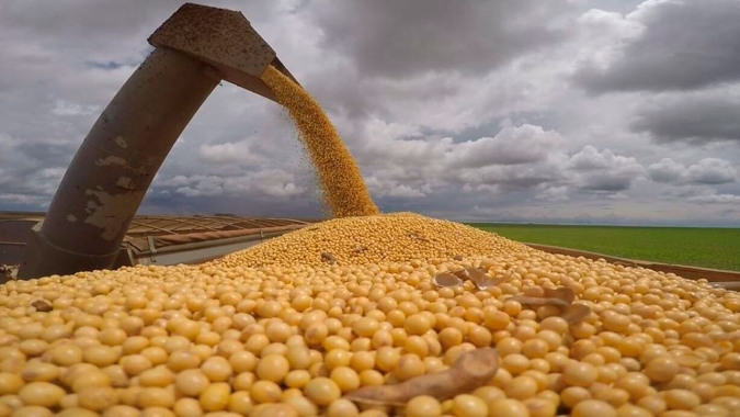 Supersafra de soja se consolida no Paraguai após revisão positiva da produção