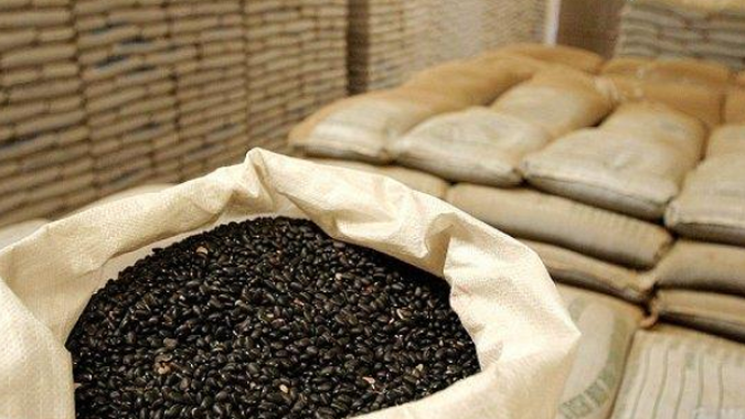 Ibrafe: Exportação de Feijão despenca 26% e importação da Argentina aumenta 233%