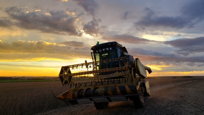 Colheita da soja passa dos 63% em Mato Grosso do Sul, conforme dados do Siga/MS