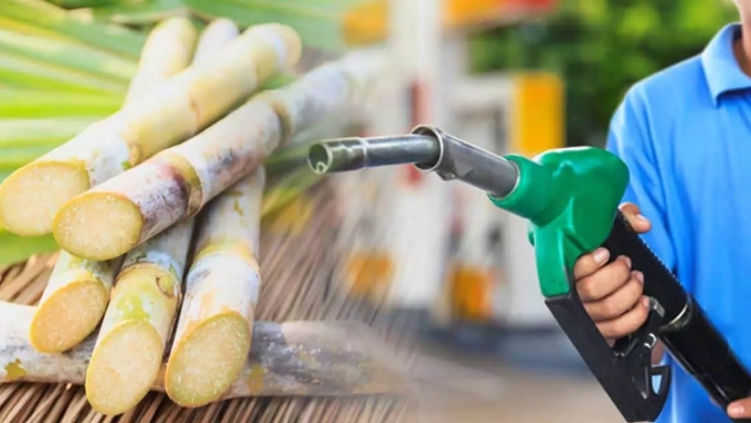 Etanol ganha competitividade sobre açúcar com ajuste da Petrobras, mas há pouco espaço para mudança no mix das usinas