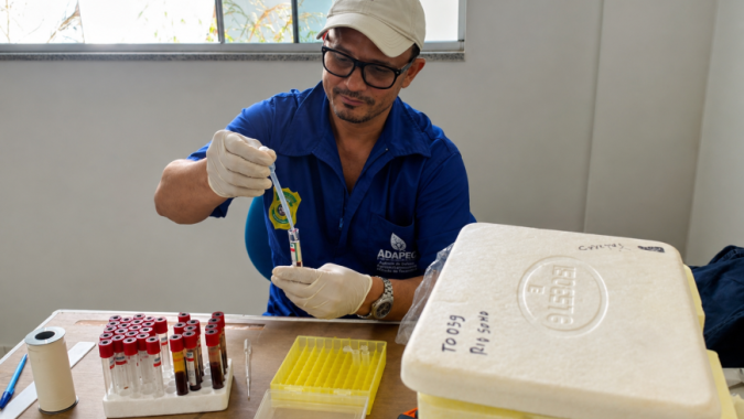 Adapec inicia monitoramento da Peste Suína Clássica e reforça status de zona livre no Tocantins