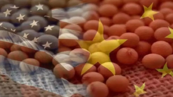USDA: Vendas semanais de soja ficam acima das expectativas e China é principal destino