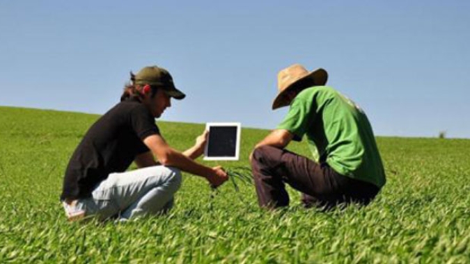 Inteligência Artificial já pode ser utilizada como aliada dos agricultores na comercialização; veja como