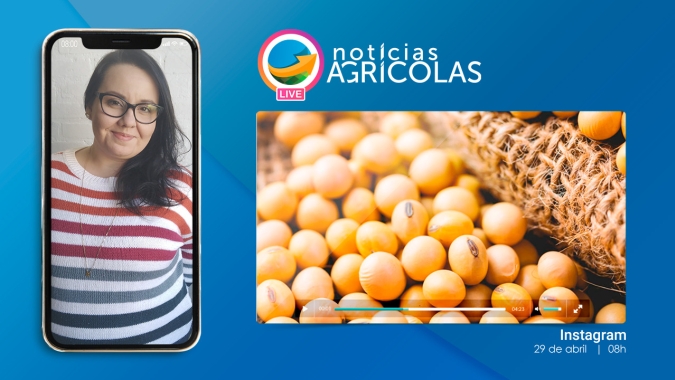 LIVE Soja: Apesar de compras nos EUA, força da demanda da China segue concentrada no Brasil