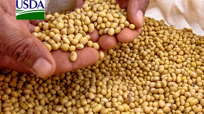 USDA aumenta projeção para exportações de soja do Brasil e importações da China