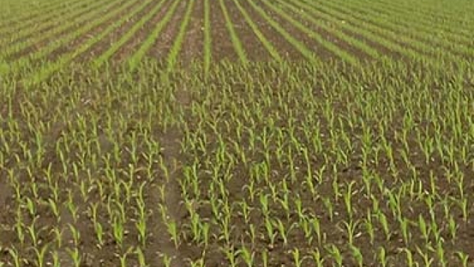 SLC Agrícola é mantida na 2ª prévia do Ibovespa
