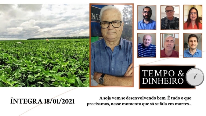 A soja vem se desenvolvendo bem. É tudo o que precisamos, nesse momento em que só se fala em mortes...