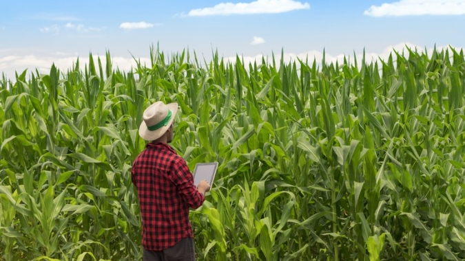 Produtores rurais contrataram R$ 156,6 bi em crédito de julho de 2019 a abril deste ano