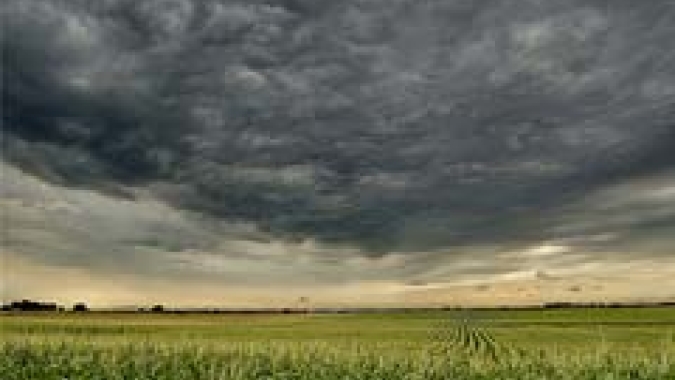 Clima extremo e errático cada vez mais frequente é grande desafio para o Agro, por Prof. Aluizio Borem