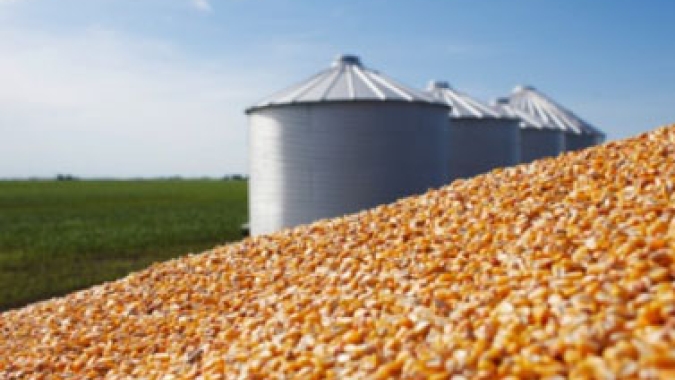 Milho: Média diária exportada em abril/21 é apenas metade da de abril/20, mas preço da tonelada disparou mais de 129%
