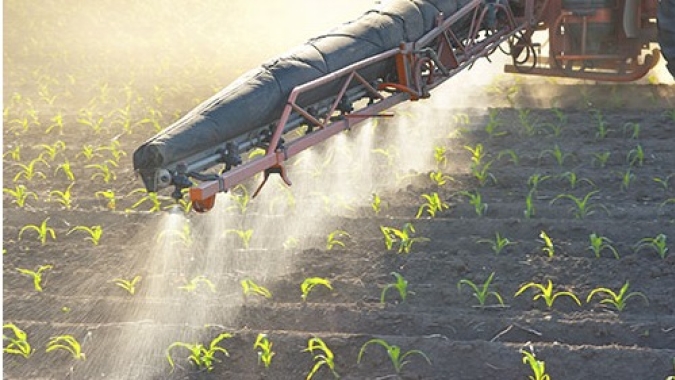 Hortifruti/Cepea: Valorização de fertilizante eleva custo das hortaliças em 2021