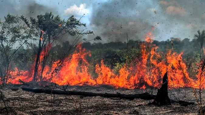 Mato Grosso do Sul decreta emergência ambiental por 90 dias devido a queimadas