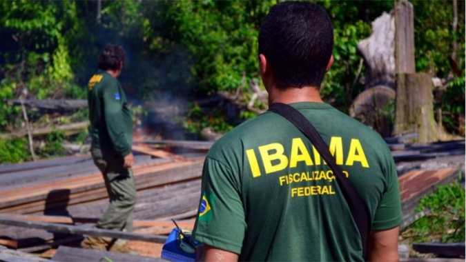Ibama desmantela esquemas de extração ilegal de madeira na Amazônia