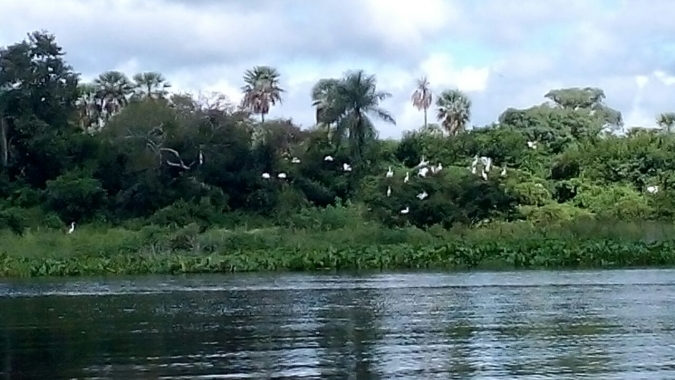 Ministro Carlos Fávaro anuncia retomada do BID Pantanal