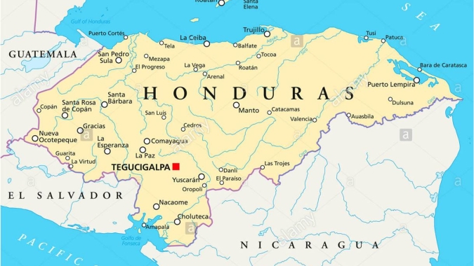 Café: Honduras também terá quebra na safra, diz  Omar Funez (especial para o NA)
