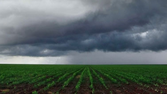 Conab: Chuvas volumosas em março beneficiam cultivos de verão, informa Boletim de Monitoramento Agrícola da Conab