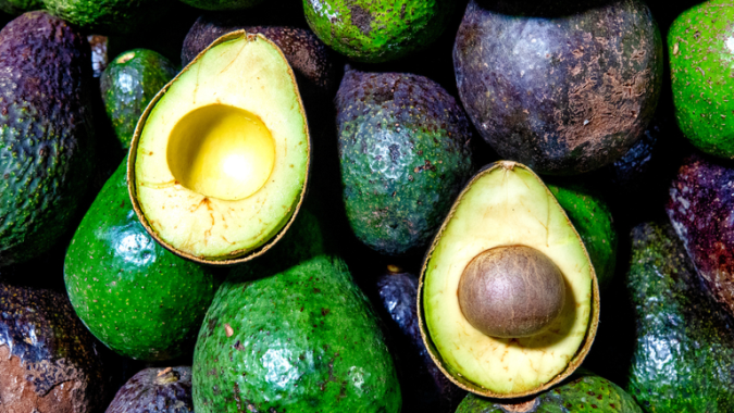 Brasil abre mercado para exportação de abacates para Costa Rica