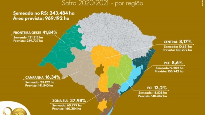 Produtores do RS já semearam 25% da área prevista de arroz