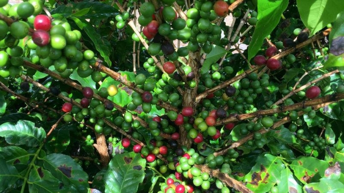 Após baixas motivadas pelo Coronavírus, Bolsa de NY tem dia com poucas movimentações