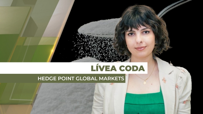 Produção na Índia e valorização da moeda brasileira impulsionam preços do açúcar nas bolsas internacionais