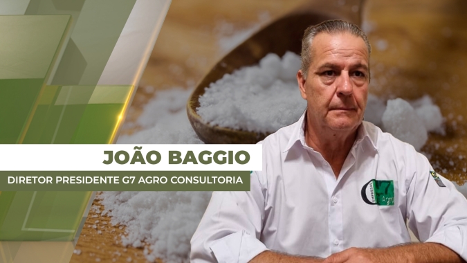 Mercado do açúcar continua a acompanhar instabilidade do petróleo e preço se aproxima dos 16 cents em NY