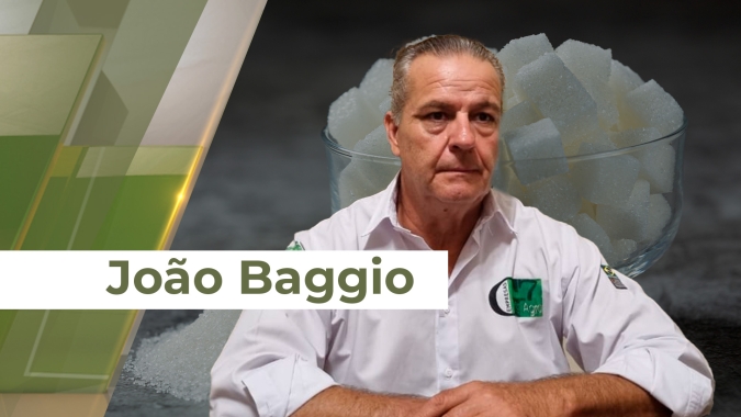 Consultor relata problemas de rebrota e falta de mudas disponíveis para recuperação de canaviais, detalhes que ainda não foram precificados pelo mercado