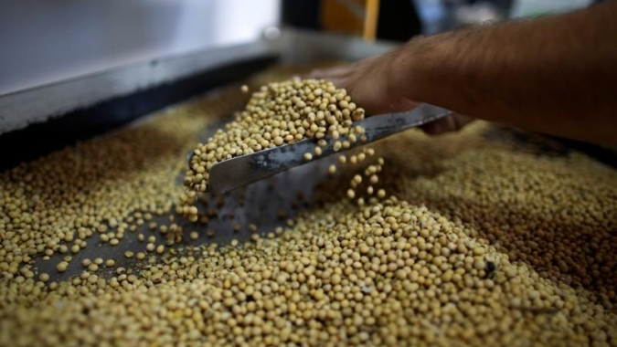 Importações de soja pela China em outubro caem para menor nível em oito anos