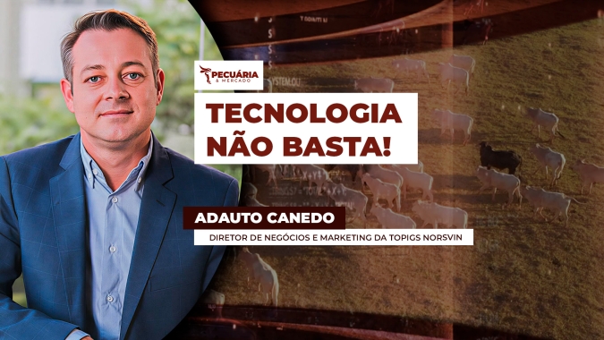 Gestão de pessoas se torna o maior desafio da suinocultura moderna, aponta Topigs Norsvin