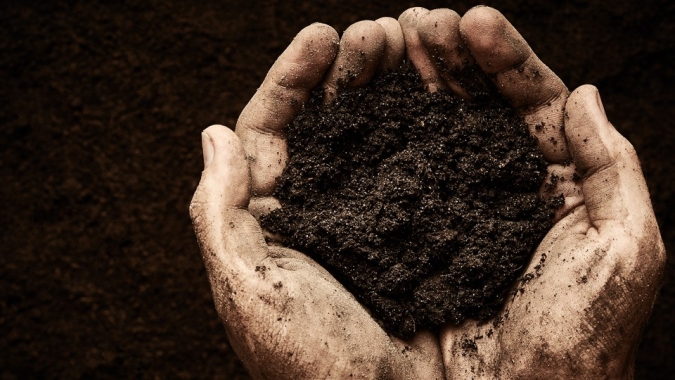 Nota do CEBDS sobre a aprovação do PL do mercado de carbono no Senado