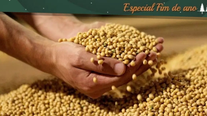 Soja/Cepea: Preços registram recordes nominais no Brasil
