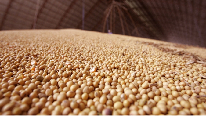 Silo de grãos e fábrica de ração geram economia para família Kuffel, no Oeste de SC