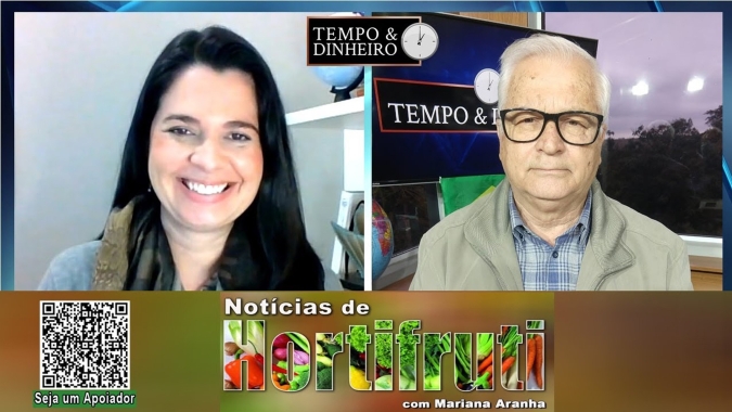 Chuvas e temperaturas amenas refletem na comercialização lenta dos citros