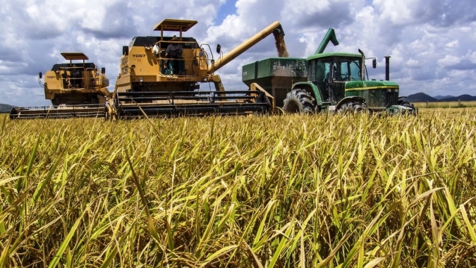 Rendimento do arroz apresenta alta no Sul de Santa Catarina, indica o Panorama Agrícola