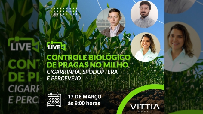 Controle biológico de pragas como componente essencial no manejo integrado do milho