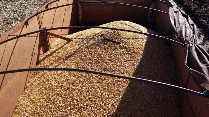 Paraguai anuncia medidas de socorro à agricultura diante de perdas por seca