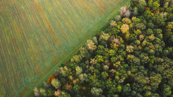Nova proposta da UE para lei antidesmatamento frustra quem se preparou no agro do Brasil, diz Rabobank
