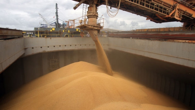 "Prêmios da soja estão subvalorizados e vão voltar  a subir", diz diretor da Pátria Agronegócios