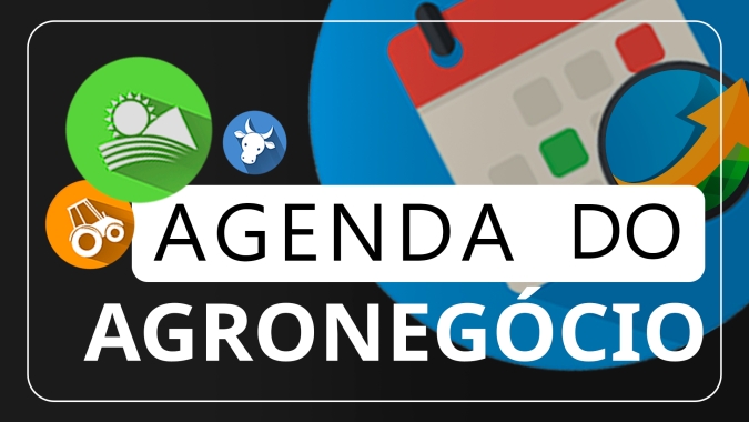 Agenda: USDA divulga nesta 2ª feira o relatório de embarque semanal dos EUA